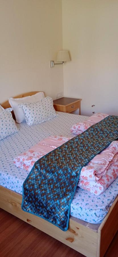 Lhardak Home Stay Leh Kültér fotó